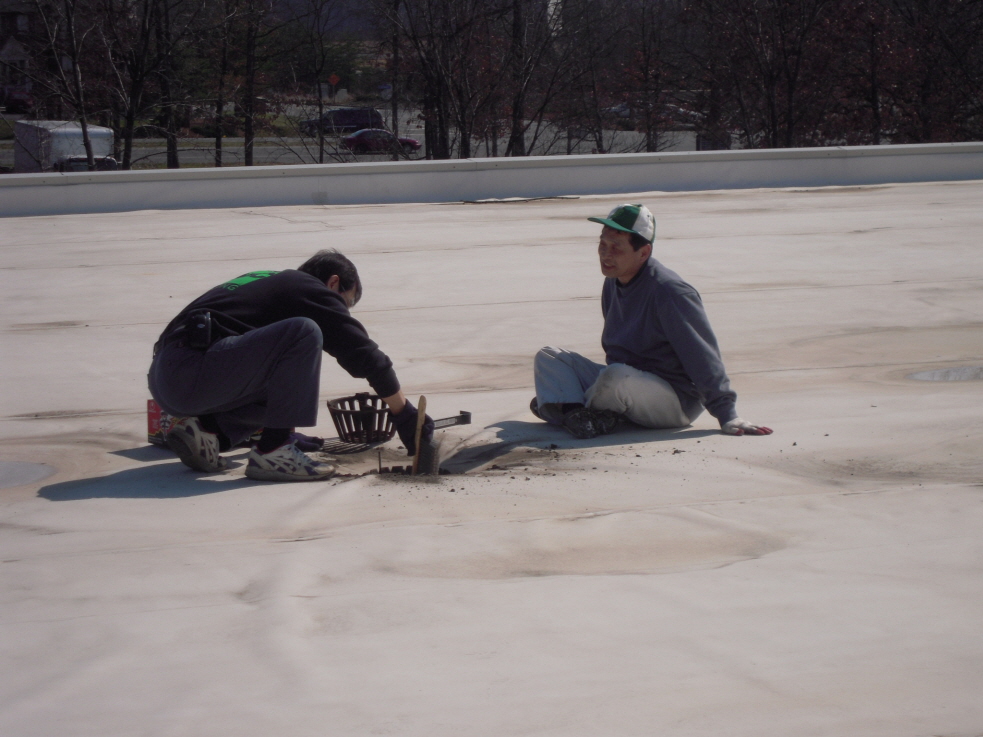 Resized_va roof 063.jpg